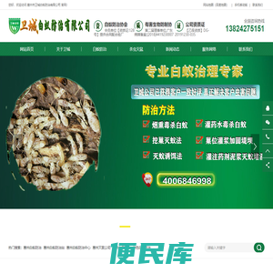 惠州白蚁防治