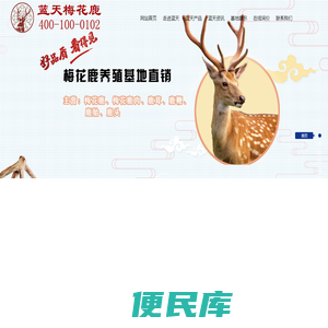 南通梅花鹿