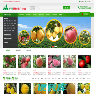 果树苗