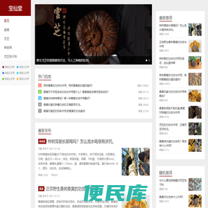 白桦茸