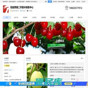 秋彤桃树苗哪里有卖