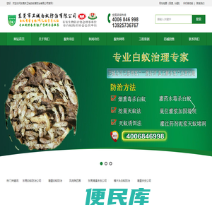 东莞白蚁防治公司