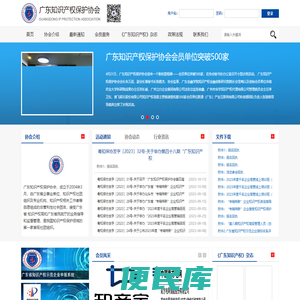 广东知识产权保护协会