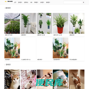 冒美图