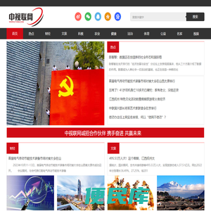 中视联网