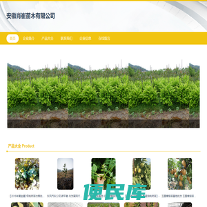安徽肖崔苗木有限公司