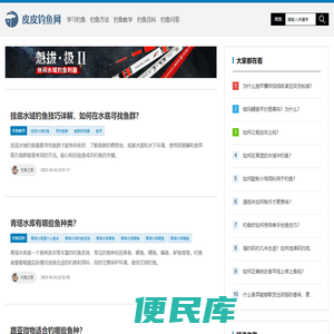皮皮钓鱼网