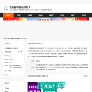 合肥网站推广