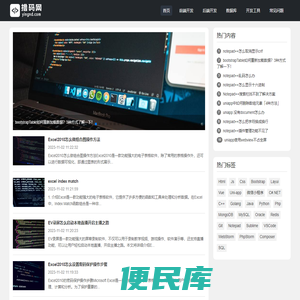 撸码网