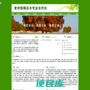 本石楠,红叶石楠球,高杆红叶石楠球,大叶黄杨球,榉树,栾树,常州恒翔花木专业合作社