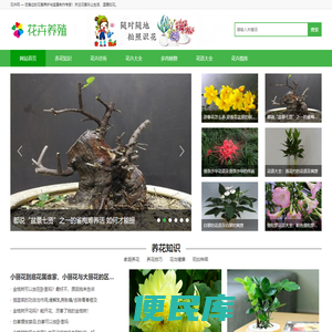 天一大联考答案网站