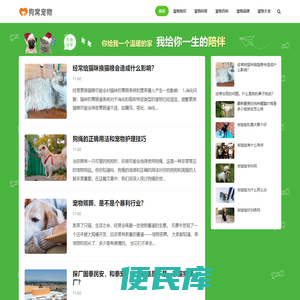 狗窝宠物网