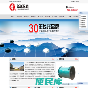 山东飞龙仪表有限公司
