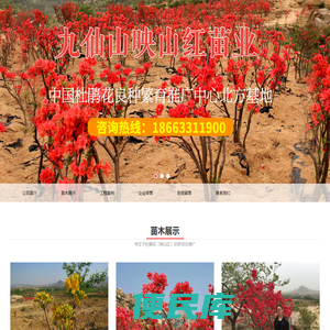 日照市九仙山映山红苗业发展有限公司