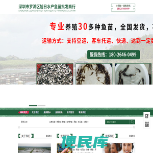 深圳市罗湖区旭日水产鱼苗批发商行