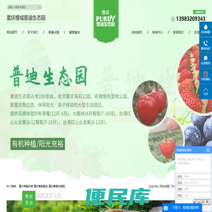 重庆草莓采摘基地
