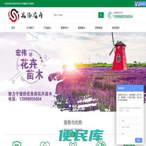 台安县宏伟花木培植园，东北最大专业生产基地