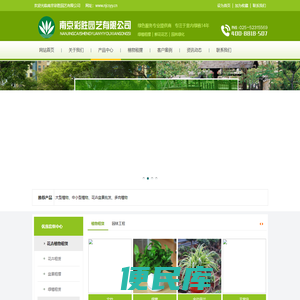 南京绿植租赁