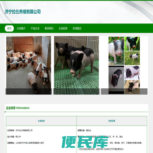 驴