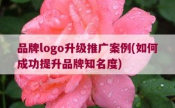 八一资讯网