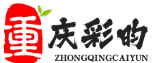 注册公司