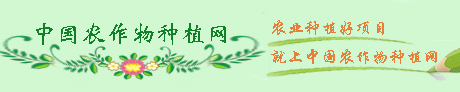 中国农作物种植网