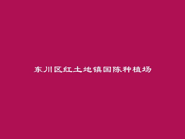 昆明同城网