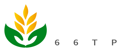 66tp