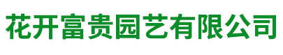 品种茶花批发零售
