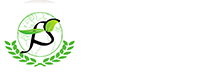 丰神国际