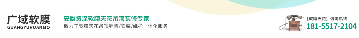 安徽广域信息科技有限公司