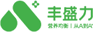 丰盛力