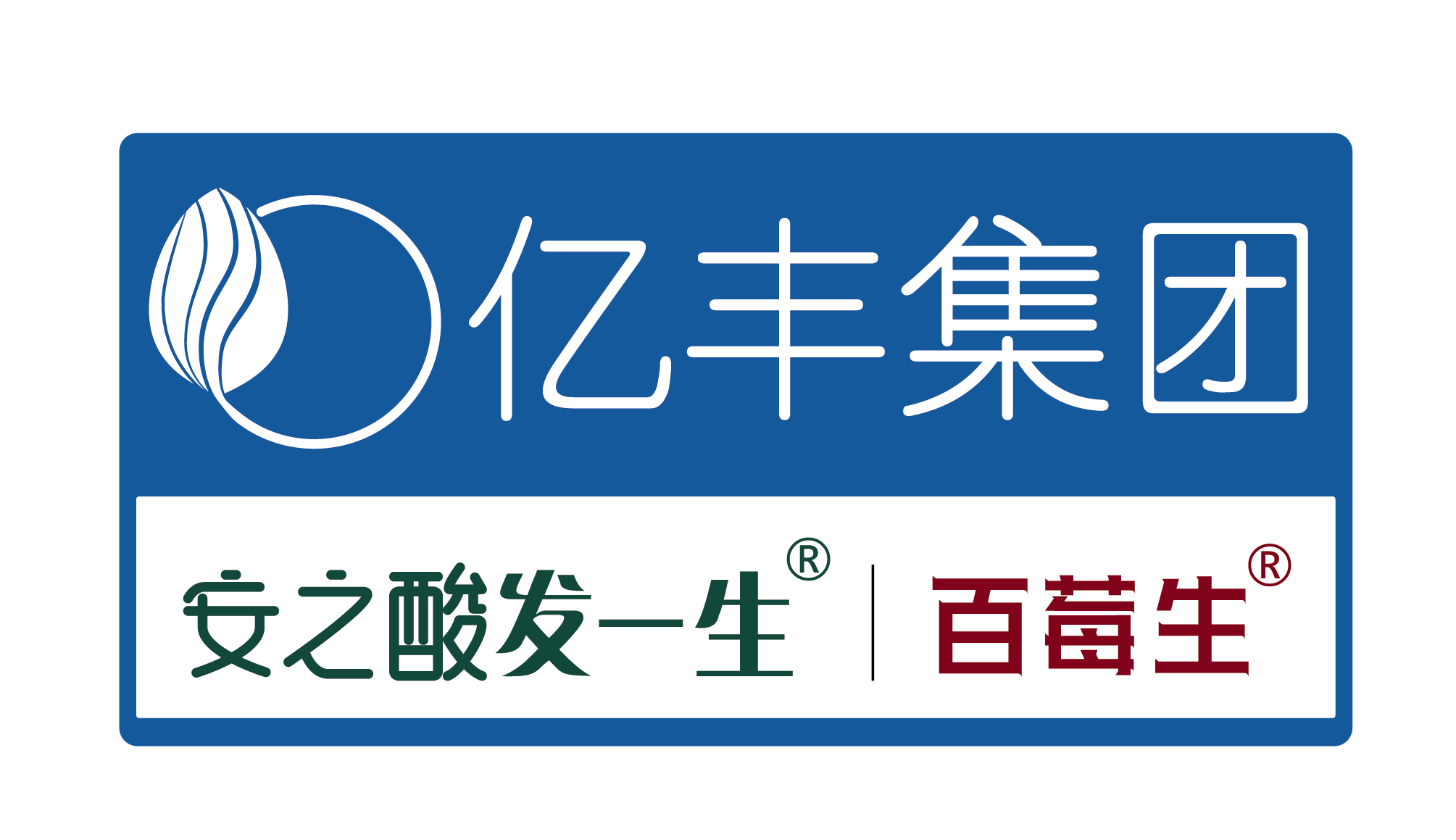 亿丰集团