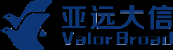 亚远大信