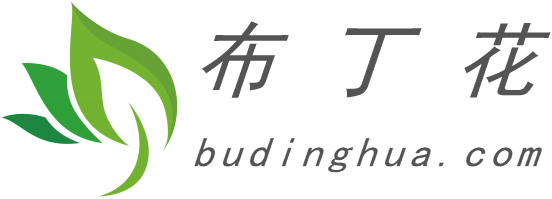布丁花网