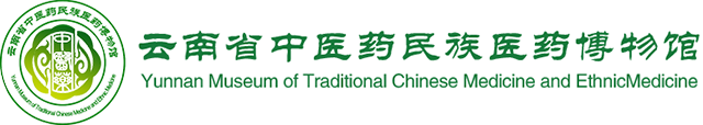 云南中医药大学博物馆