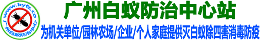广州白蚁防治中心官网