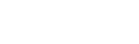 中数藏品