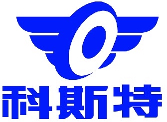 锂电电动车