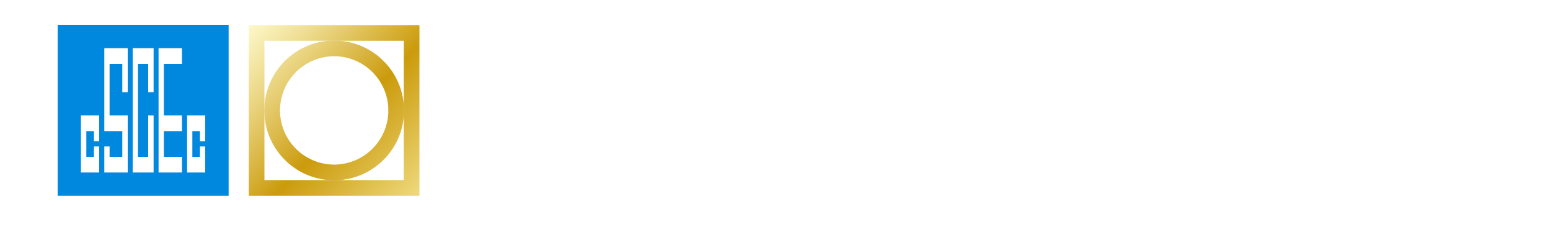 中建正大科技有限公司