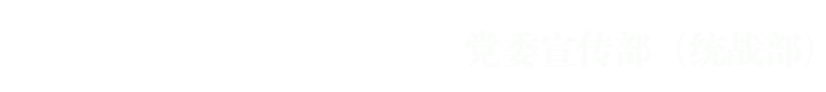 党委宣传部（统战部）