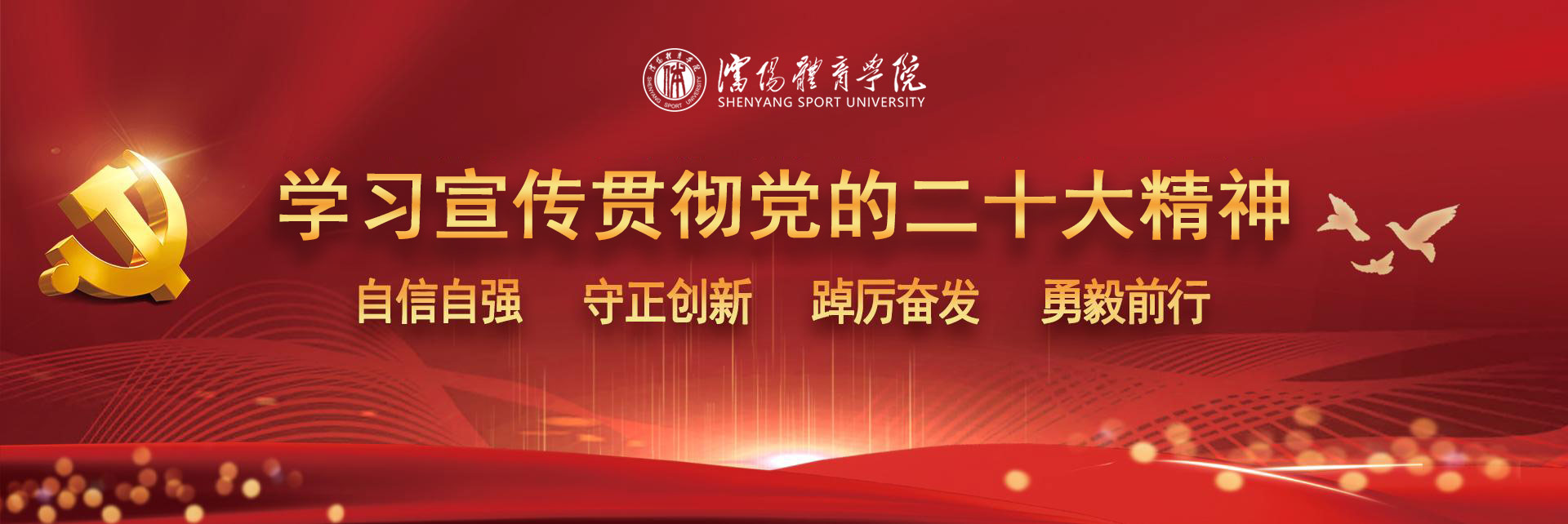 沈阳体育学院学习宣传贯彻党的二十大精神专题网站