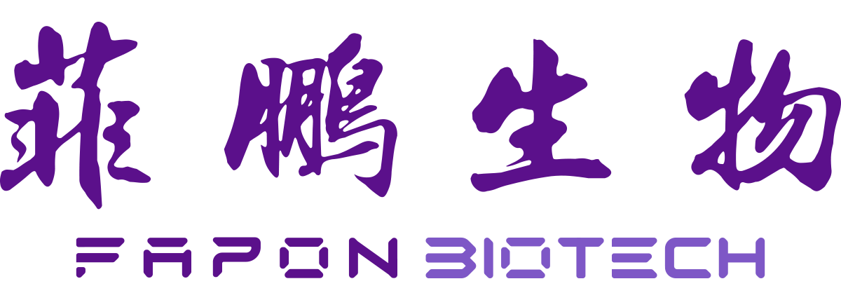 首页