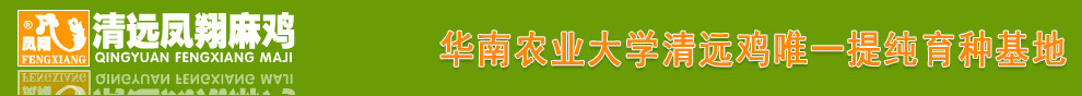 清远市凤翔麻鸡发展有限公司