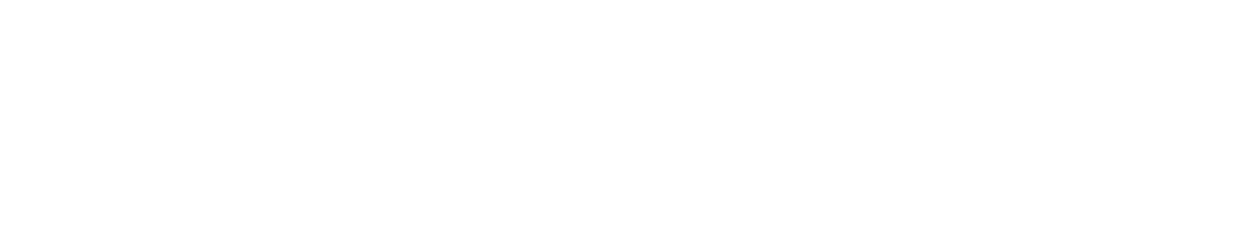 粉丝网络