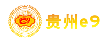贵州e9