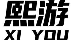 软件开发