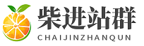 丽莎志超网