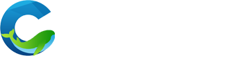 青岛软件公司