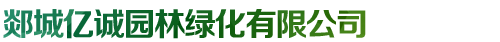 红枫